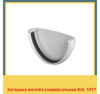 Заглушка желоба универсальная RAL 1017 в Ургенче